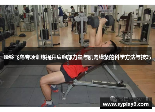 哑铃飞鸟专项训练提升肩胸部力量与肌肉线条的科学方法与技巧