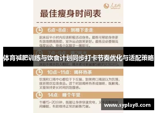 体育减肥训练与饮食计划同步打卡节奏优化与适配策略